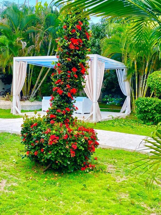 Daymond Blue Tropical Lodge Barahona Экстерьер фото